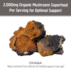 Om Mushrooms USA grown organic mycelial biomass