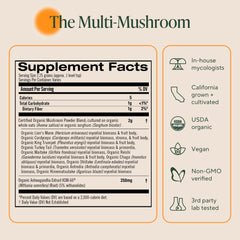 Close-up of 10 mushrooms used in the blend including lion's mane and reishi