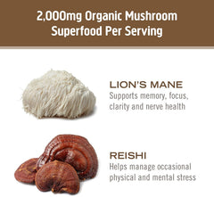 Vegan, gluten-free, keto-friendly dietary supplement capsules