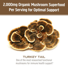 Serving scoop of Om Turkey Tail Powder showing 2,000 mg per serving