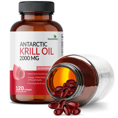 Omega-3 EPA and DHA from krill oil illustration