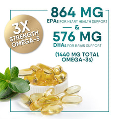 Brain and heart health icons representing omega-3 benefits