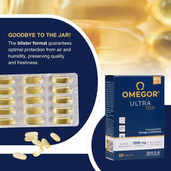 Brain and vision health icons with Omega-3
