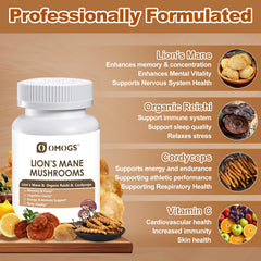 Digestive health benefits of Lion's Mane and mushroom blend