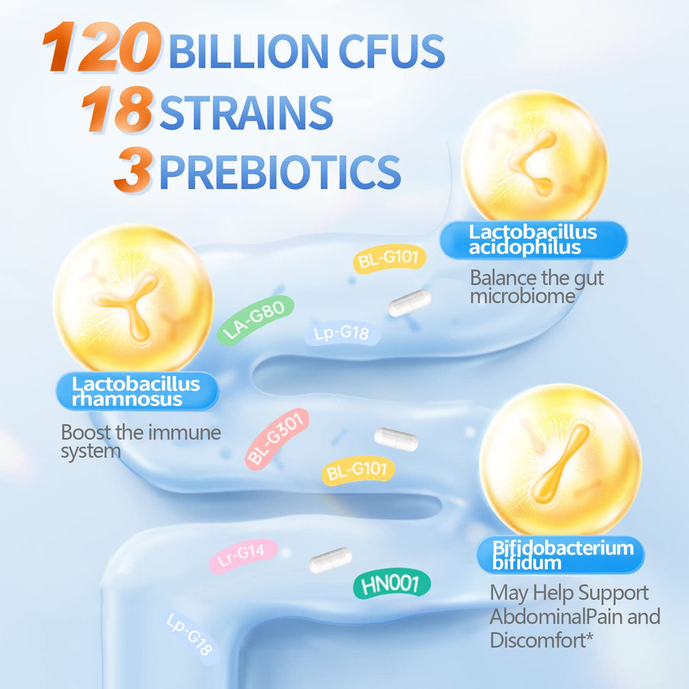 Organic prebiotics and digestive enzymes illustration