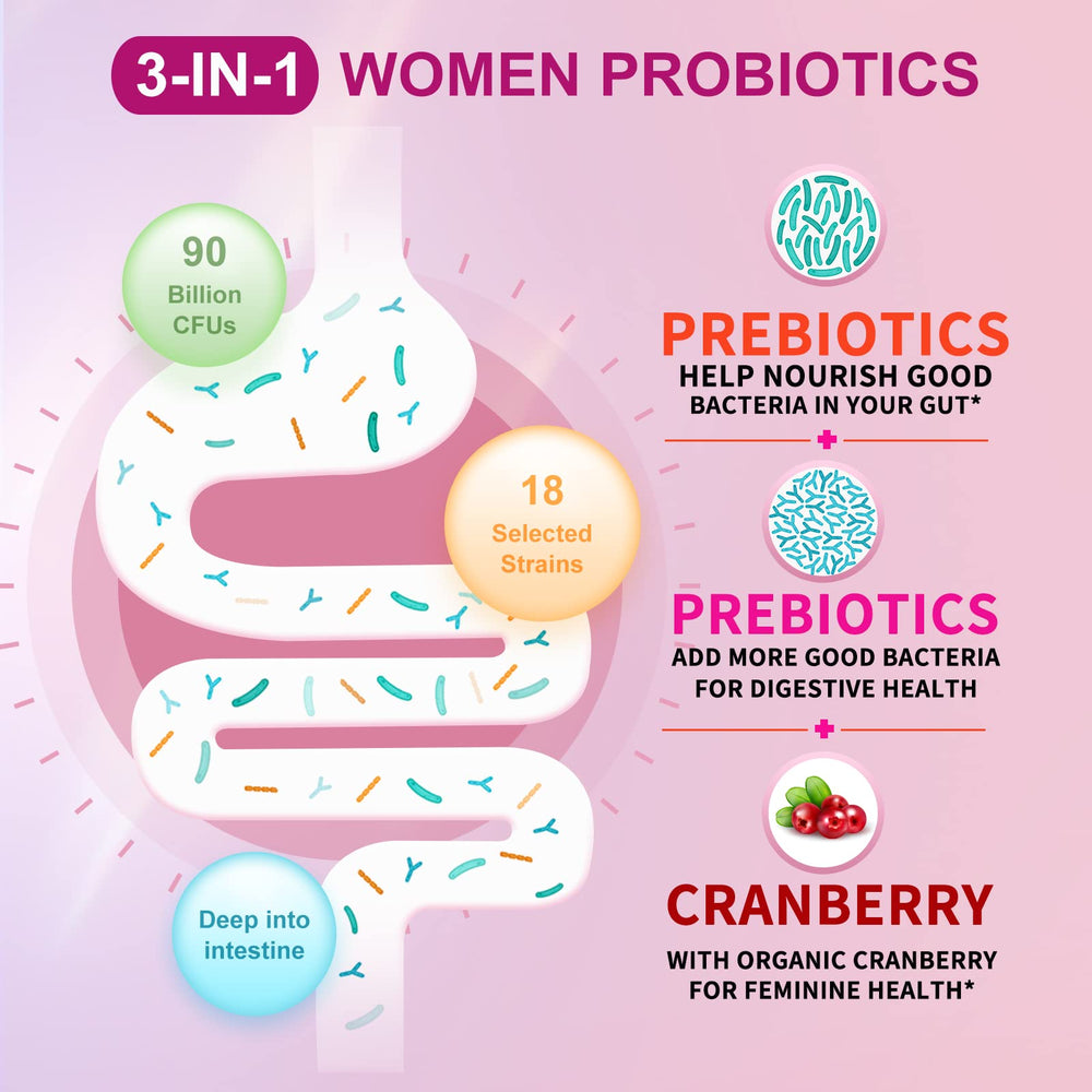 Illustration of Lactobacillus reuteri supporting vaginal health