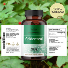 On-the-go capsule scene with a bottle of Goldenseal capsules