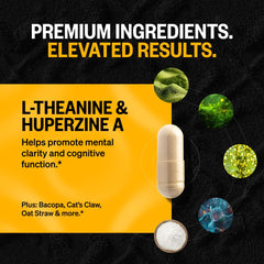 Three-pack of Alpha Brain 30-count bottles