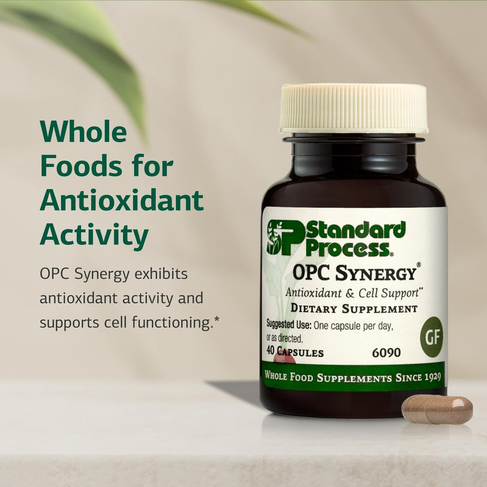 Illustration of antioxidant-rich ingredients