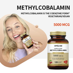 Back of bottle showing 120-count methyl B-12 with folate