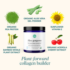 Aloe Gorgeous scoop beside blender for healthier hair and nails.