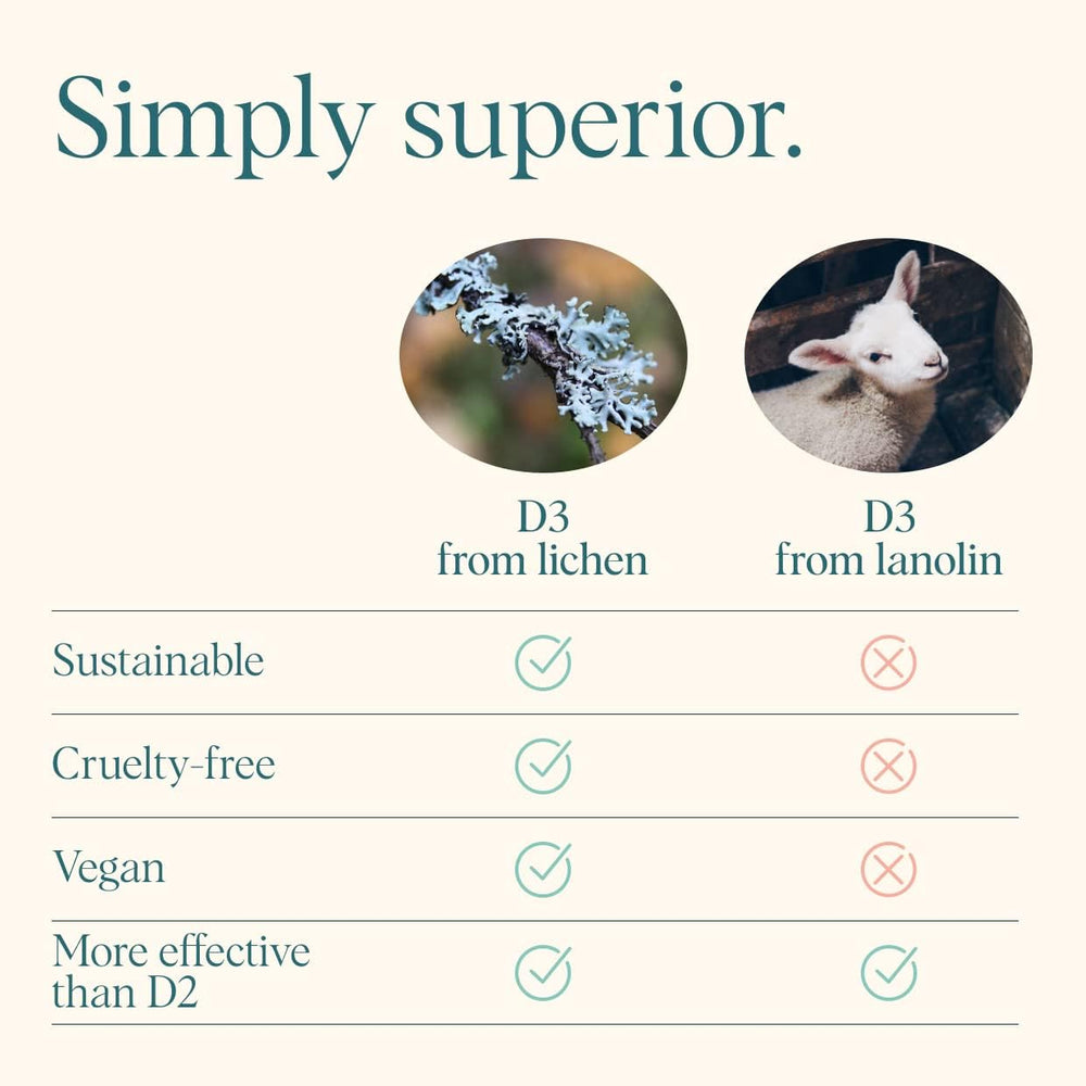 Illustration of immune support concept with vitamin D imagery