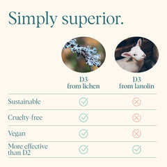 Illustration of immune support concept with vitamin D imagery