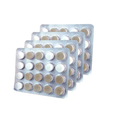 XyliMelts disc containing Xylitol awaiting use