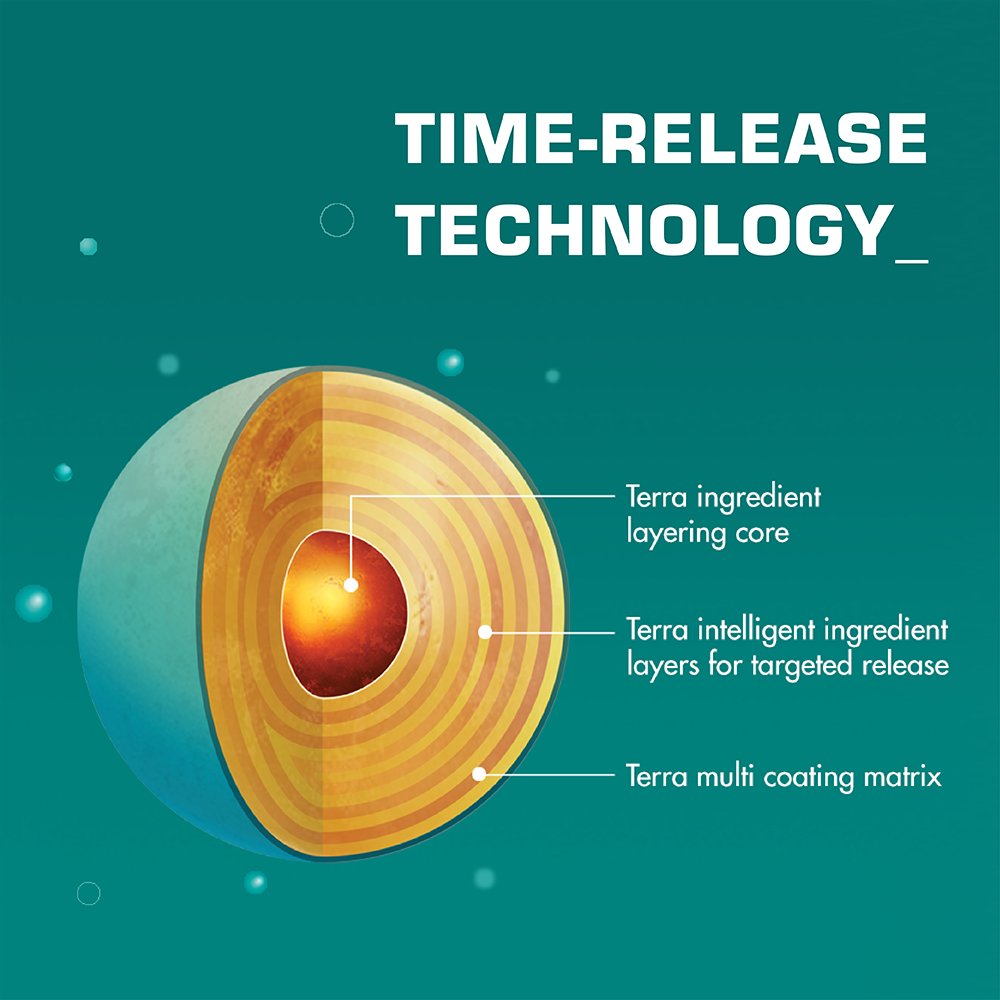 Mood support vitamins from ORB supplement