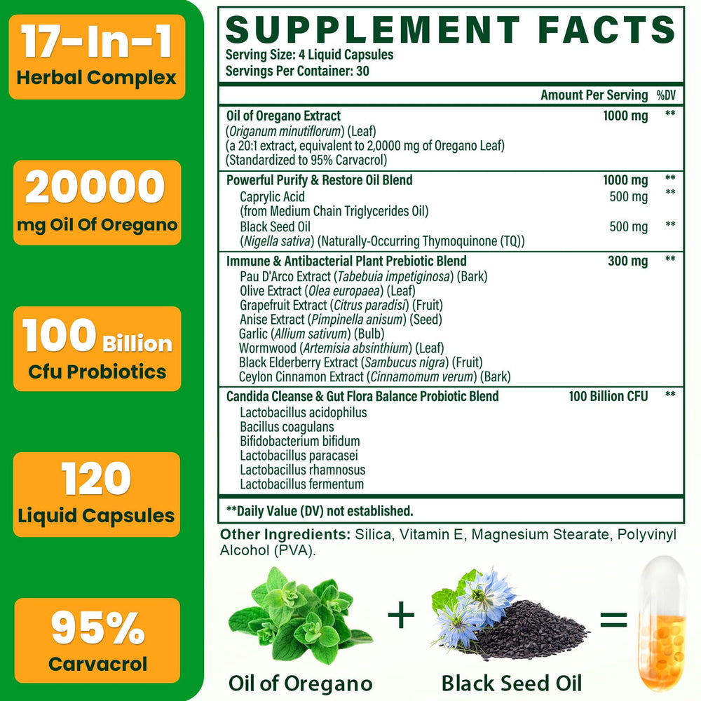 Oregano oil extract 20 to 1 concentration with carvacrol highlight