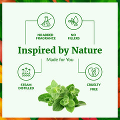 Oregano oil used for hair care