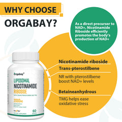 Orgabay ingredient highlight near bottle focusing on TMG and betaine.