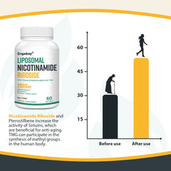 Usage: Take 2 softgels daily for NAD+ support