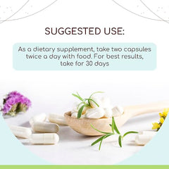 Organic Angelica capsules manufactured in Colorado, USA