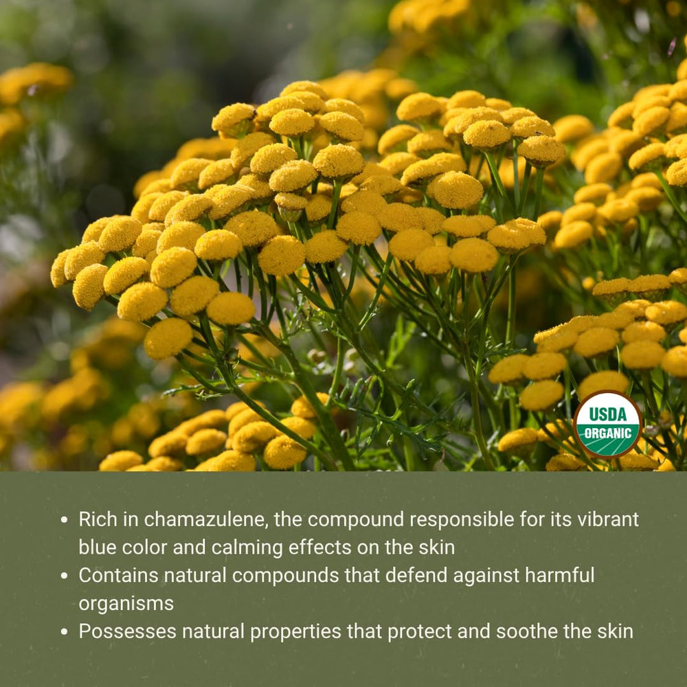 Blue Tansy essential oil 5 mL packaging