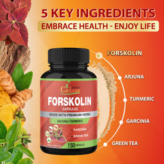 Organic Cadane Forskolin packaging side view