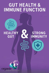 Sporebiotics and digestive balance concept artwork