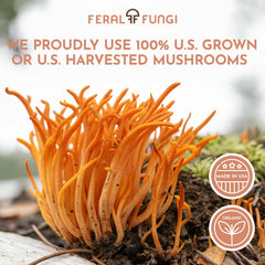 Organic extraction medium used in tincture