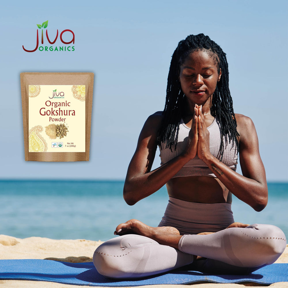 Organic farms in India growing gokshura