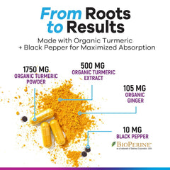 Close-up of organic ginger and turmeric ingredients