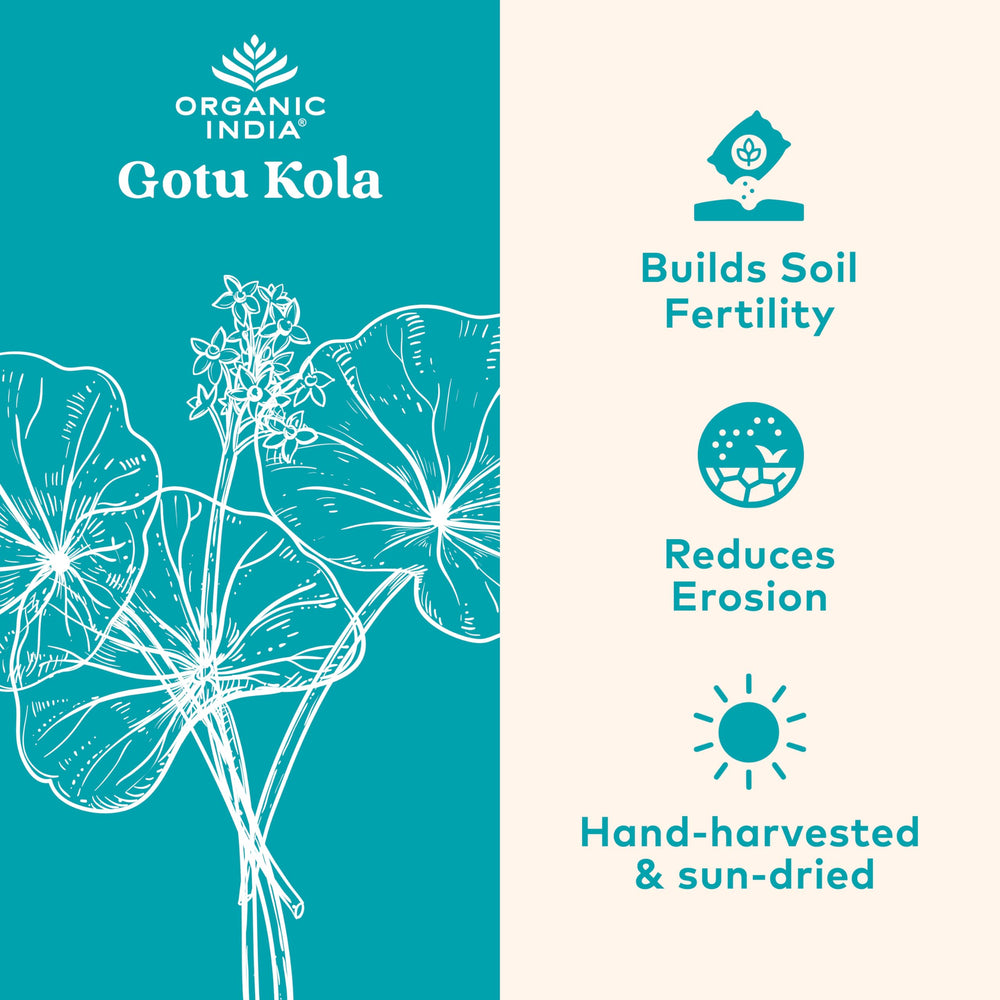 Close-up of Gotu Kola label