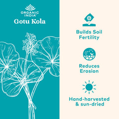Close-up of Gotu Kola label