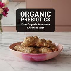 Organic inulin prebiotic illustration