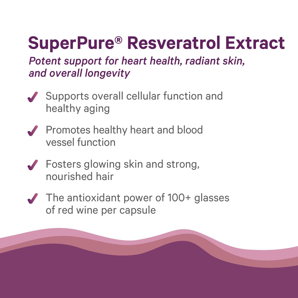 Organic Japanese knotweed resveratrol source