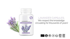 Lavender capsules laid out on a white background