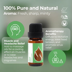 Mint essential oil harvested on the Danube region farm in Bulgaria