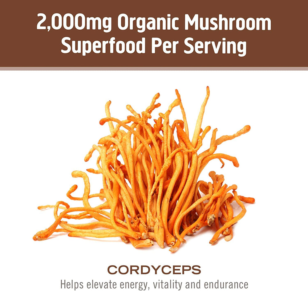 Organic mycelial biomass cultured on organic oats