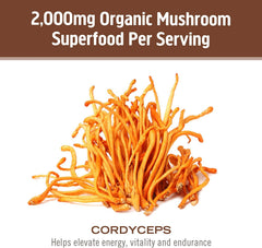 Organic mycelial biomass cultured on organic oats