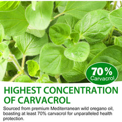 Oregano oil bottle label highlighting carvacrol content