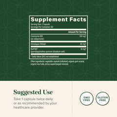 Pure Himalayan Shilajit organic extract