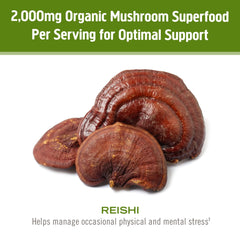 Organic Reishi Mushroom Powder Full Spectrum