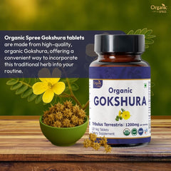 USDA Organic Certified seal on Organic Spree packaging