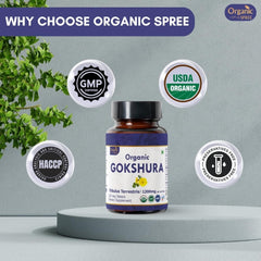 Vegetarian-friendly symbol on Gokshura packaging