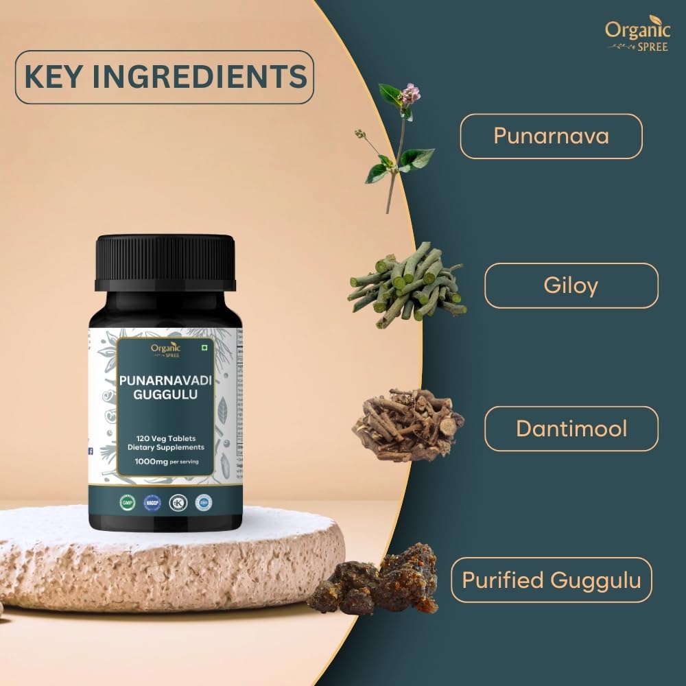Back label with dosage information for Punarnavadi Guggulu 120 tablets