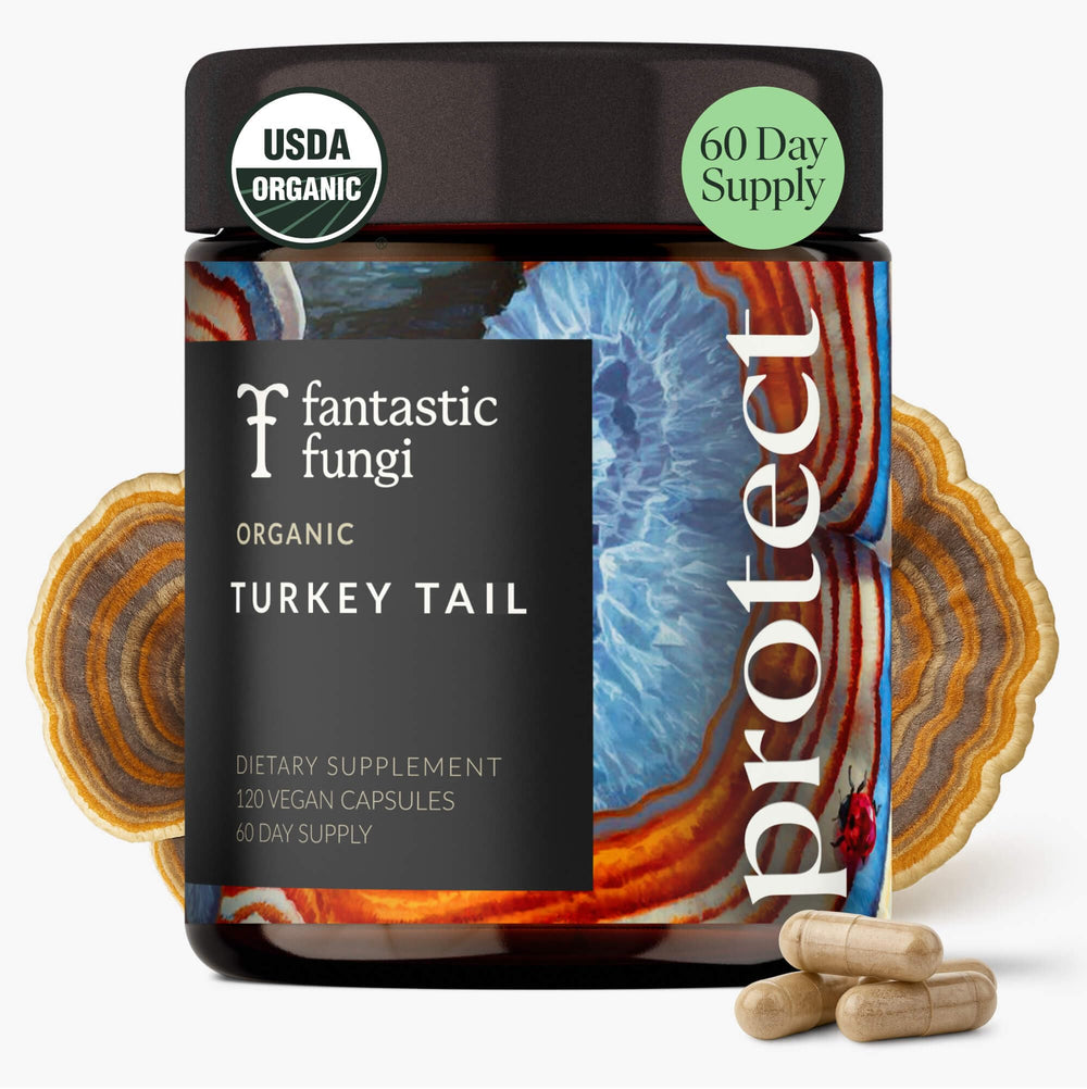 Organic turkey tail mushroom capsules in a glass jar (120 caps)