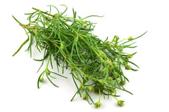 Kosher, vegan, non-GMO organic psyllium seeds