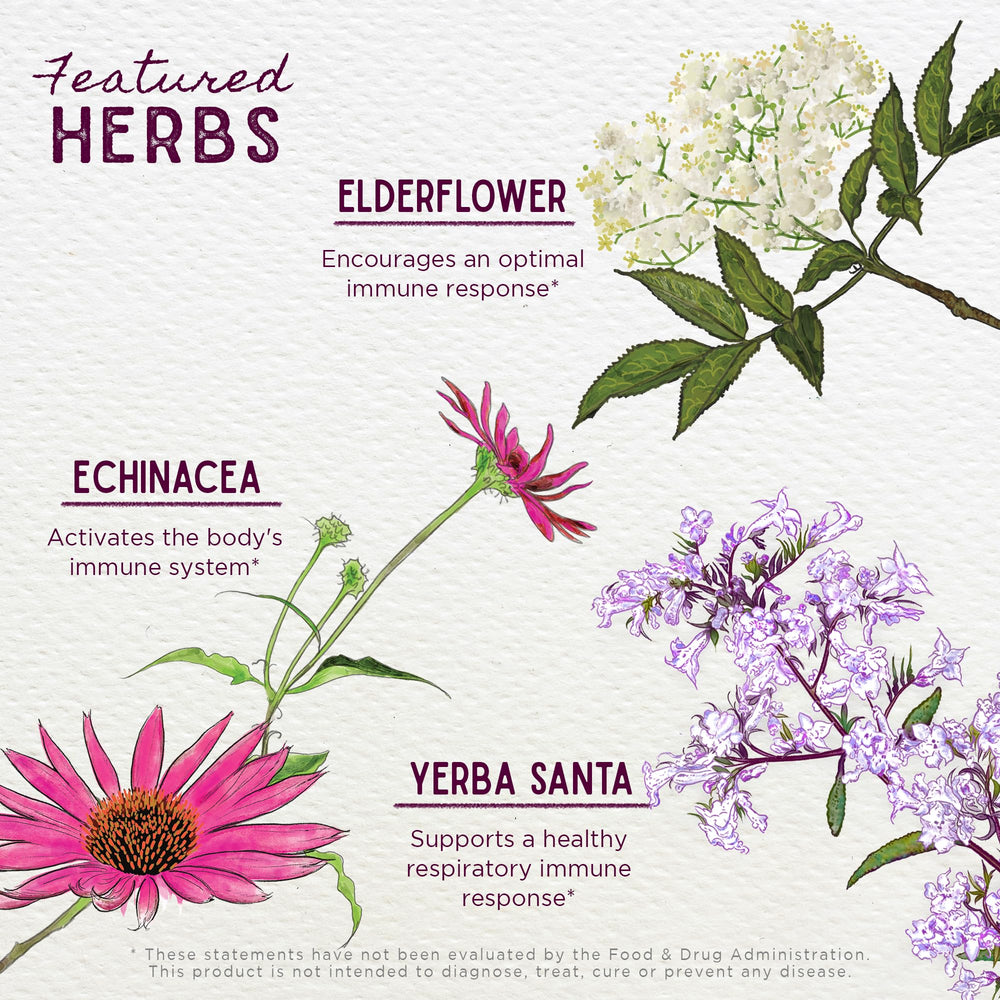 Organic and wild-harvested, forest-farmed ingredients