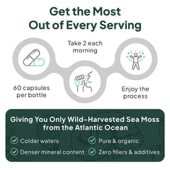 Organics Ocean Sea Moss Capsules pouring from bottle into spoon.