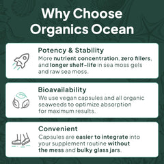 Himalayan origin of Organics Ocean Shilajit Gummies