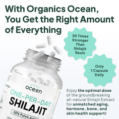 Vegan-friendly shilajit capsule with a single additive